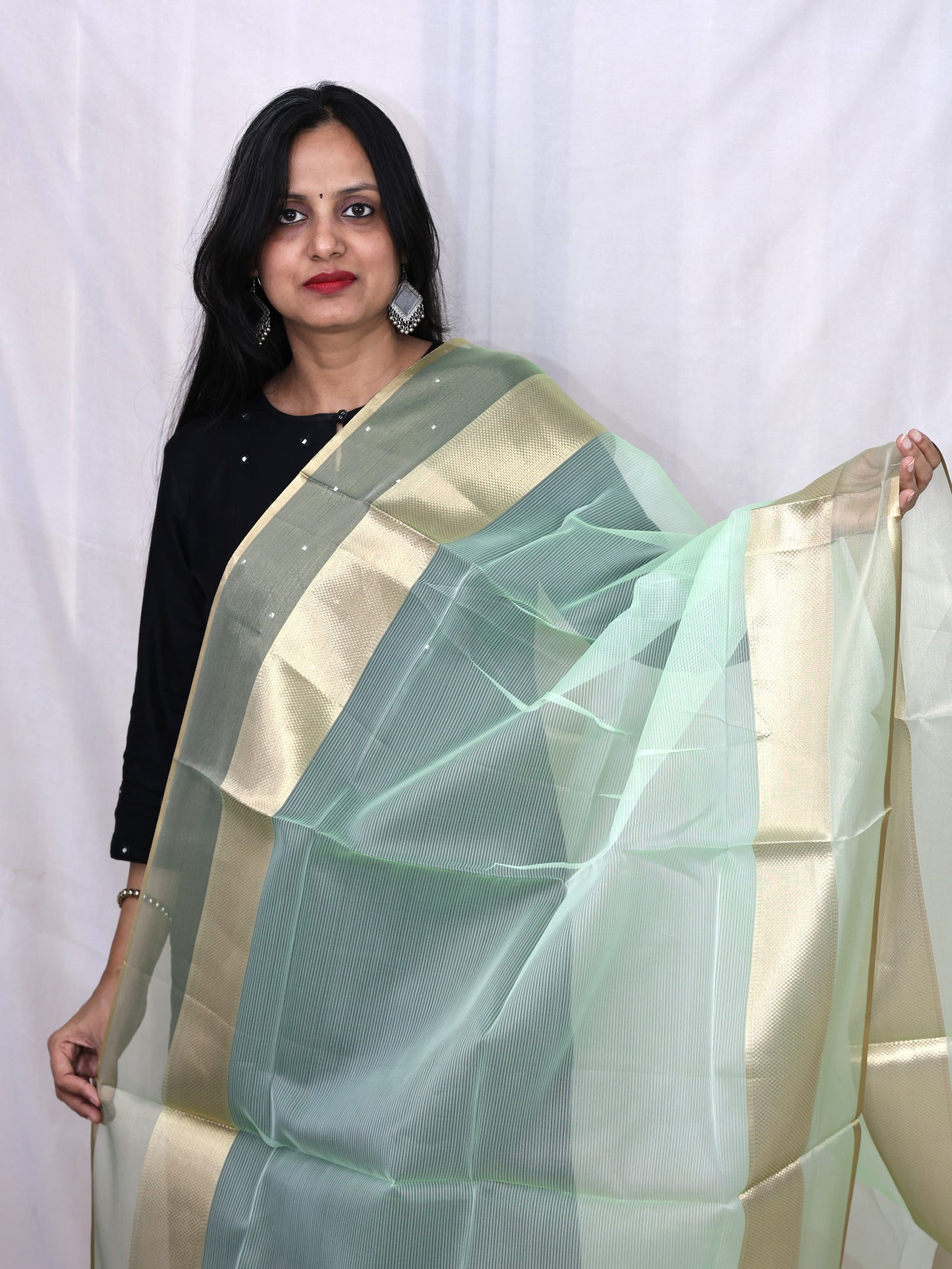 Organza Zari Border Dupatta