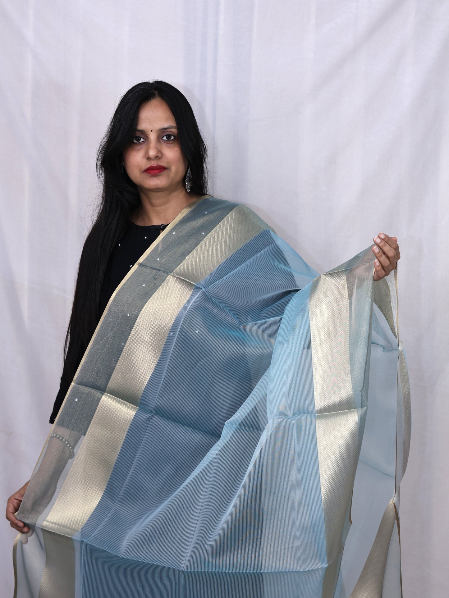 Organza Zari Border Dupatta