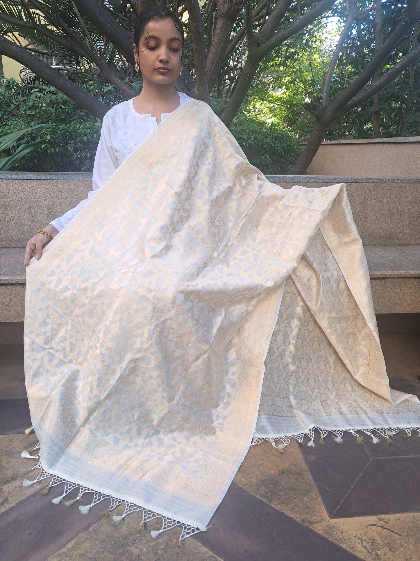 Off White Chiniya Silk Kaduwa Ara Jaal Banarasi Dupatta