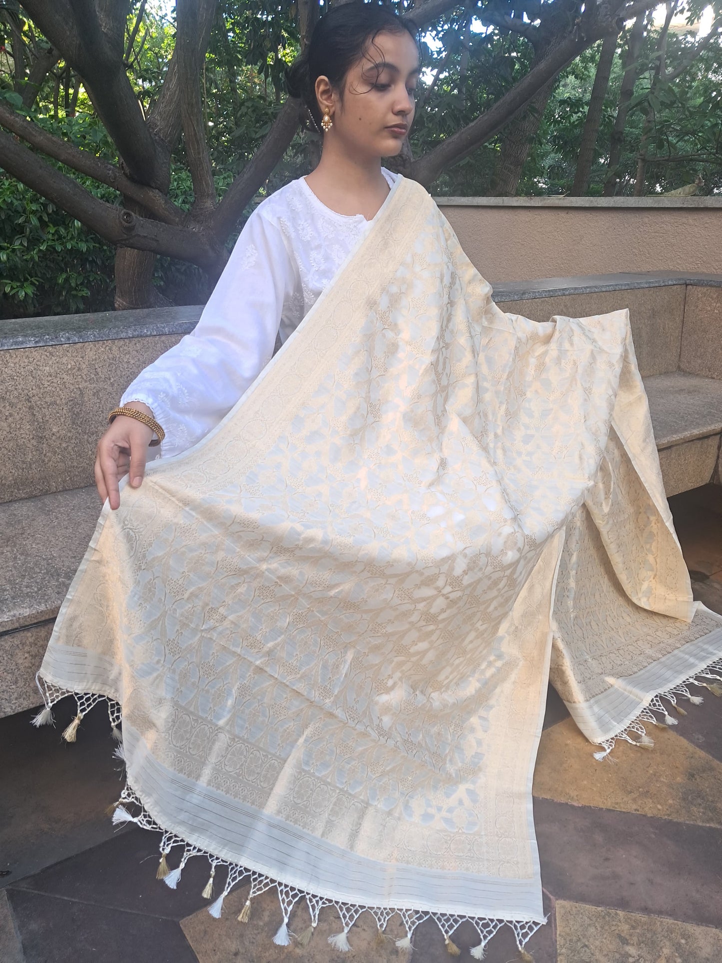 Off White Chiniya Silk Kaduwa Ara Jaal Banarasi Dupatta