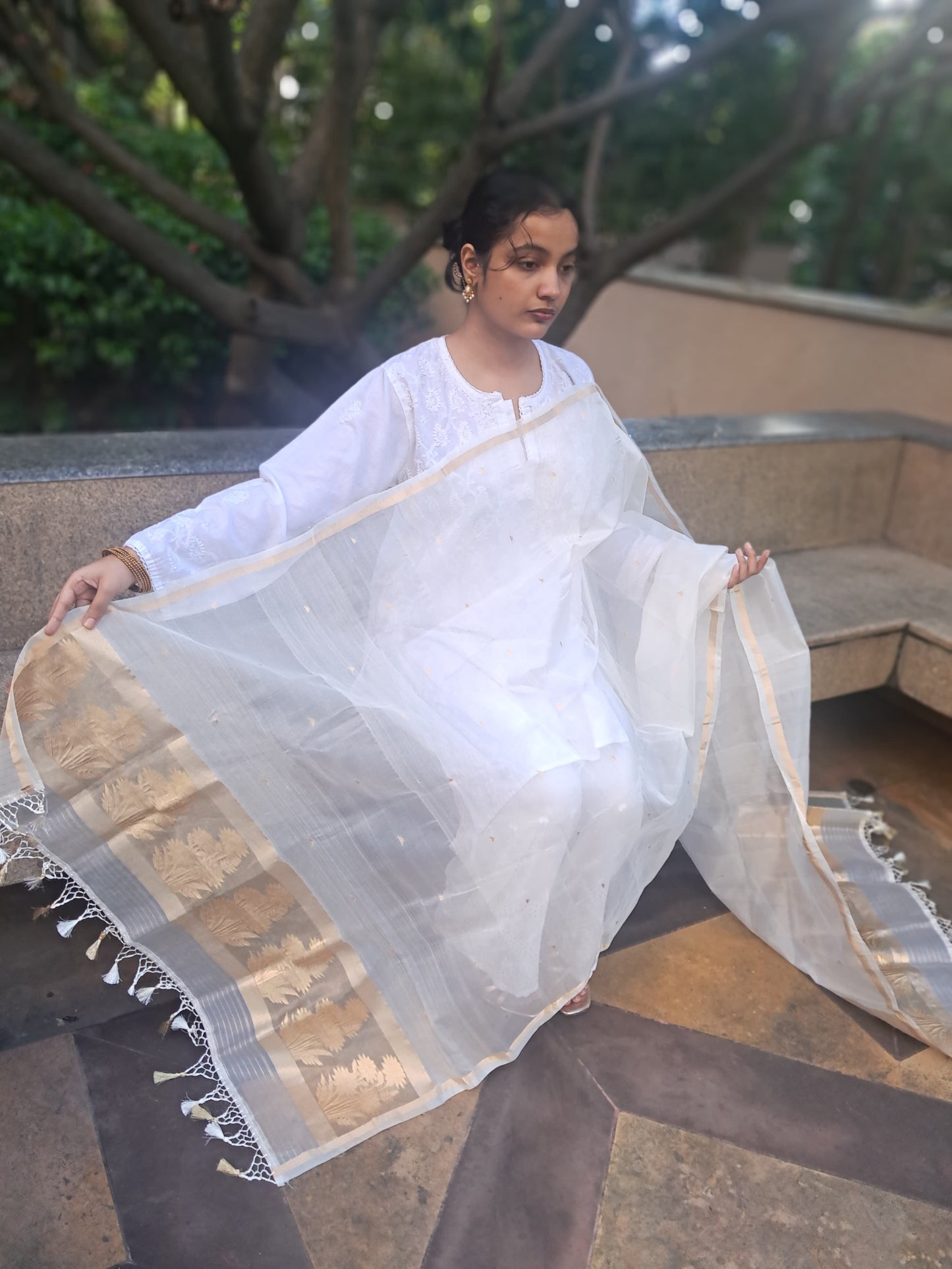 Off White Cottan Organza Patta Tissue Pallu banarasi dupatta