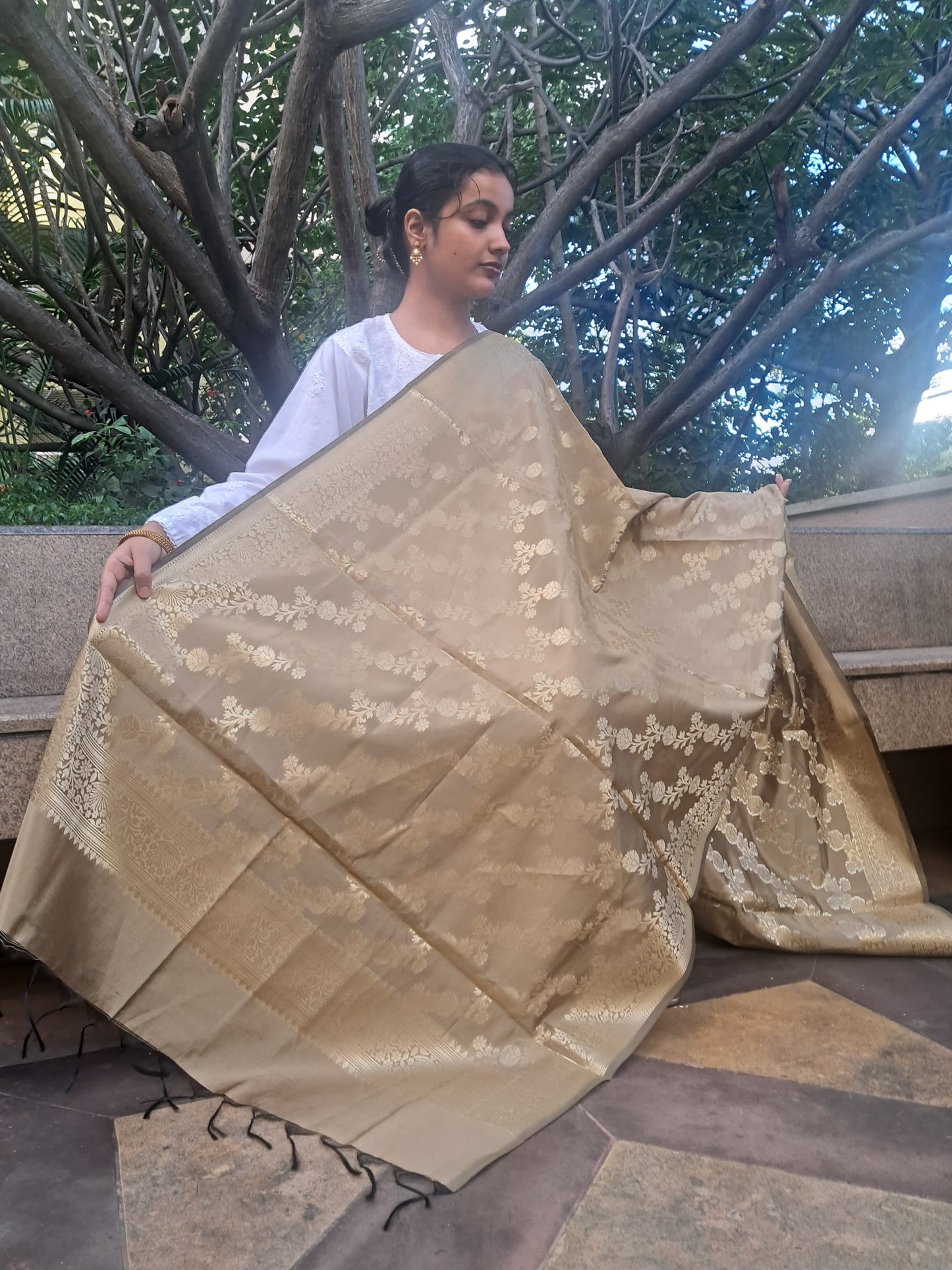 Golden Mixed Katan Silk Banarasi Dupatta
