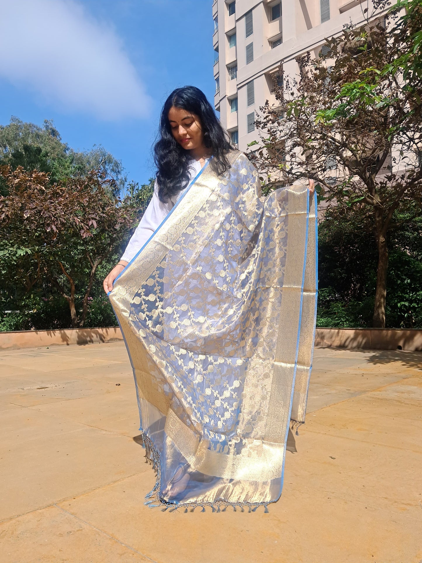 Blue Katan Silk Jacquard jal Dupatta