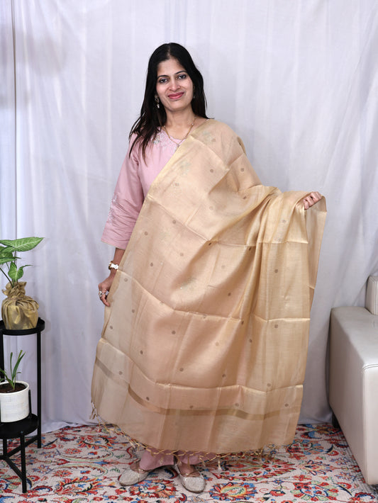 Organza Zari Stone Dupatta