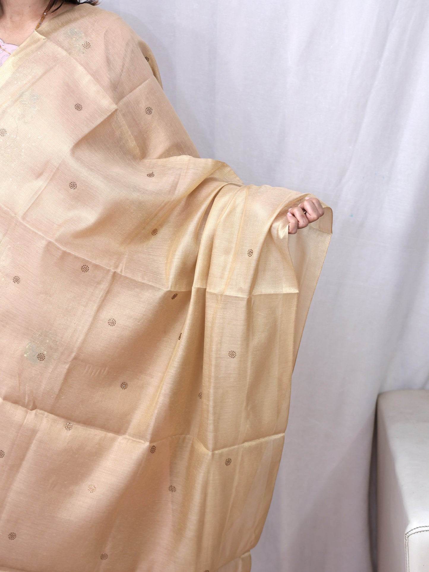 Organza Zari Stone Dupatta
