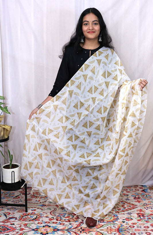 Kota Doria Dupatta