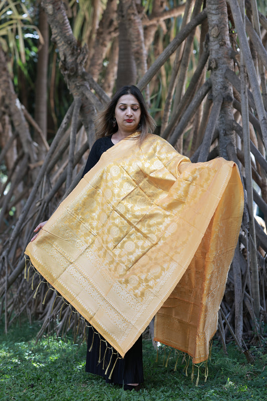 Tissue Silk Jacquard Jaal Banarasi Dupatta