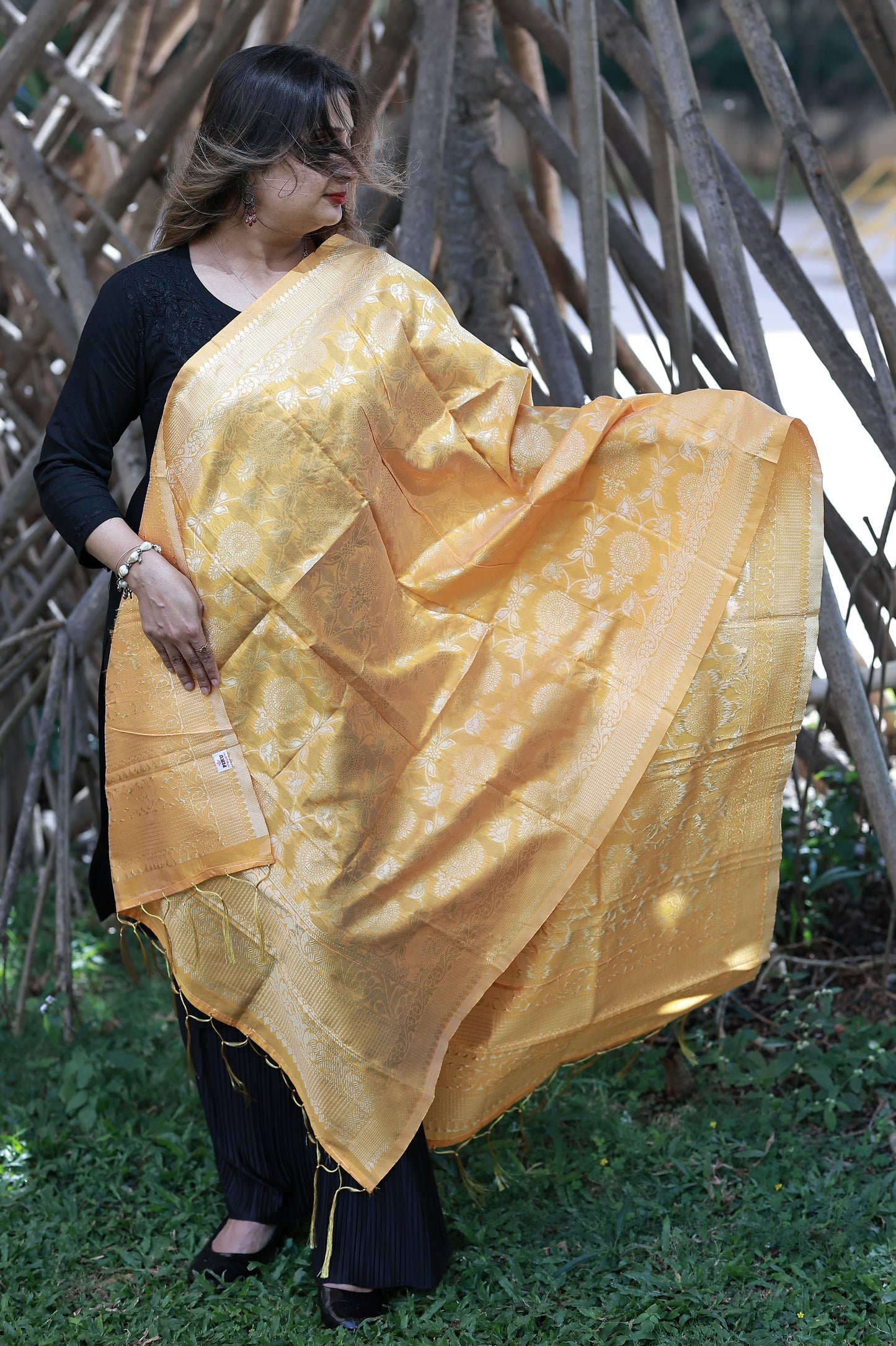 Tissue Silk Jacquard Jaal Banarasi Dupatta