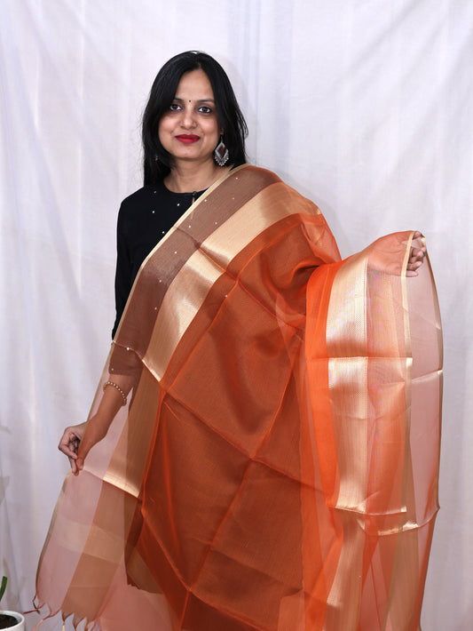 Organza Zari Border Dupatta