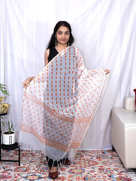 kota doria dupatta
