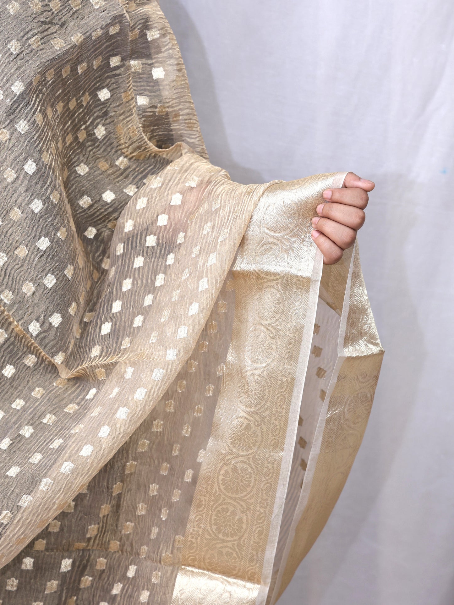 Golden Silk Tissue Crush Border Buti Banarasi Dupatta
