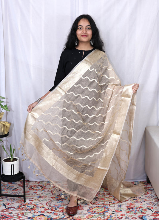 Golden Silk Tissue Crush Border Buti & Jaal Banarasi Dupatta