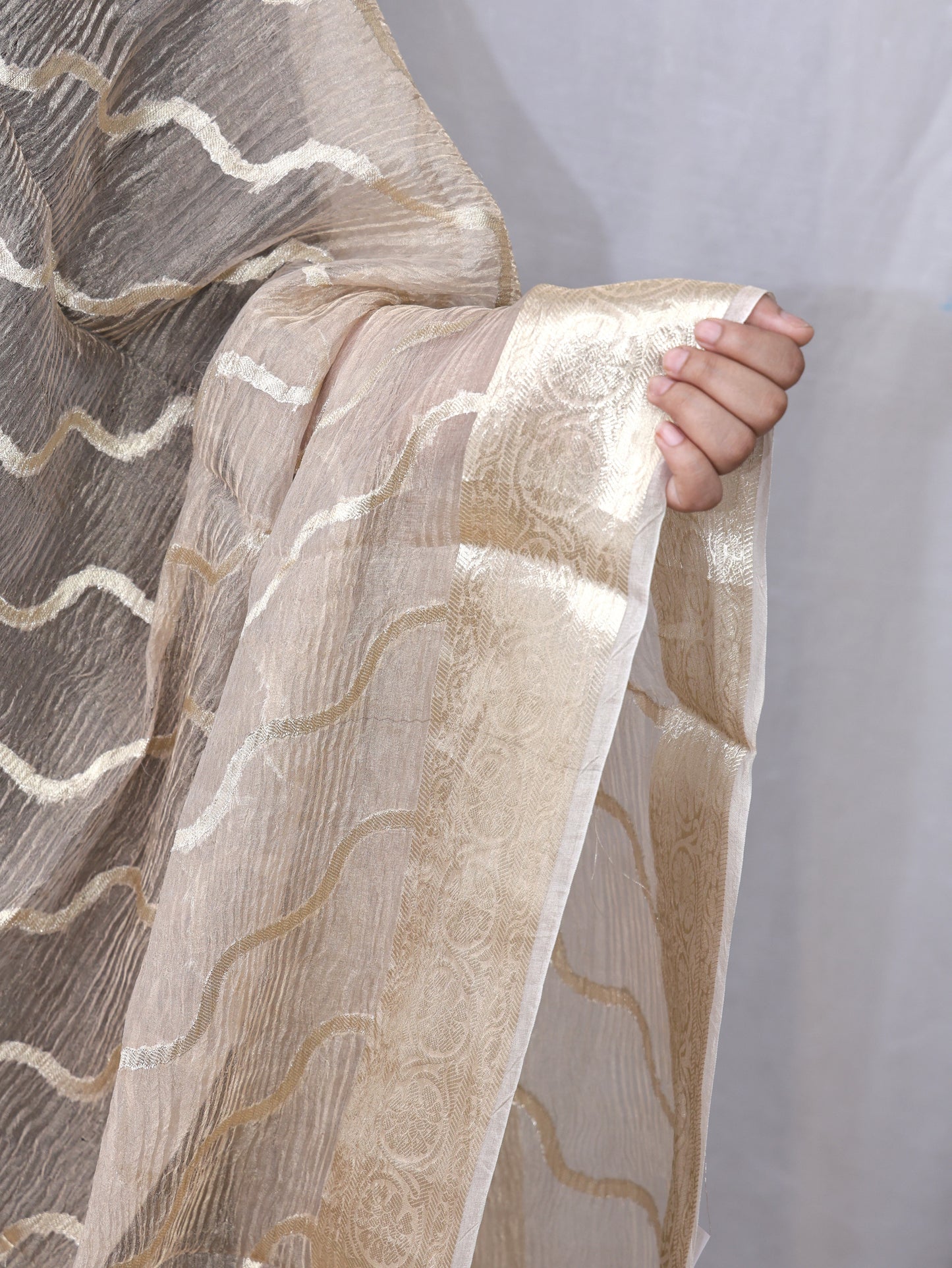 Golden Silk Tissue Crush Border Buti & Jaal Banarasi Dupatta