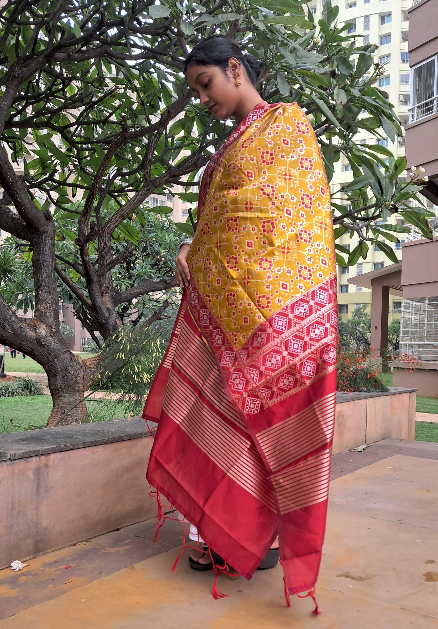 Mustard Banarasi Patola Silk Dupatta