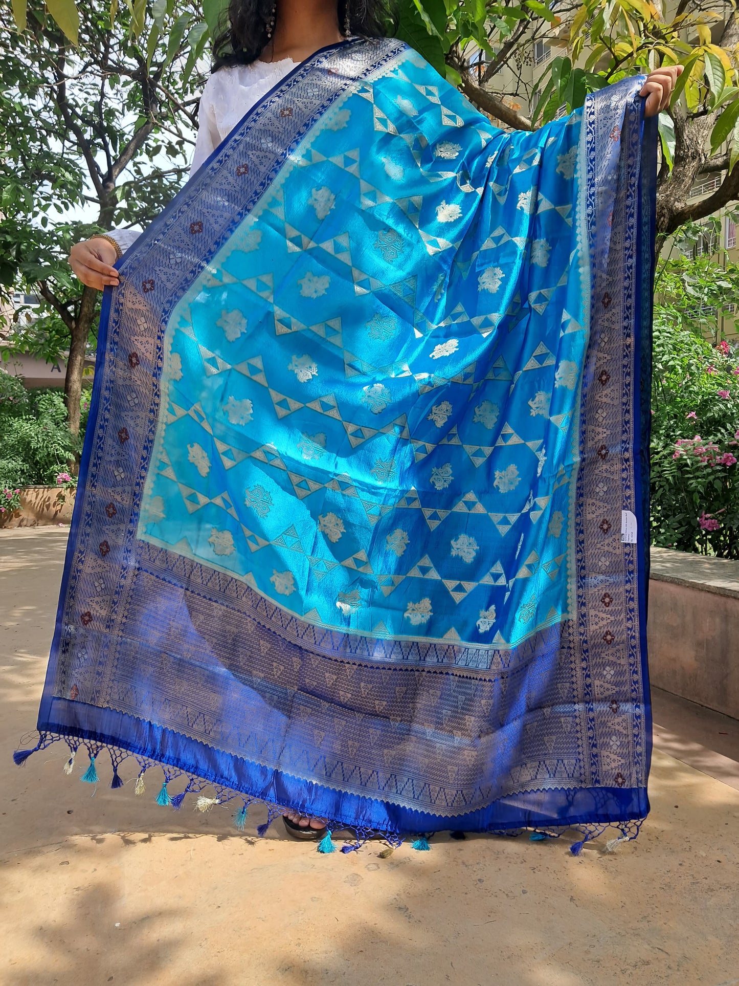 Blue Katan Silk Border Buti Banarasi Dupatta
