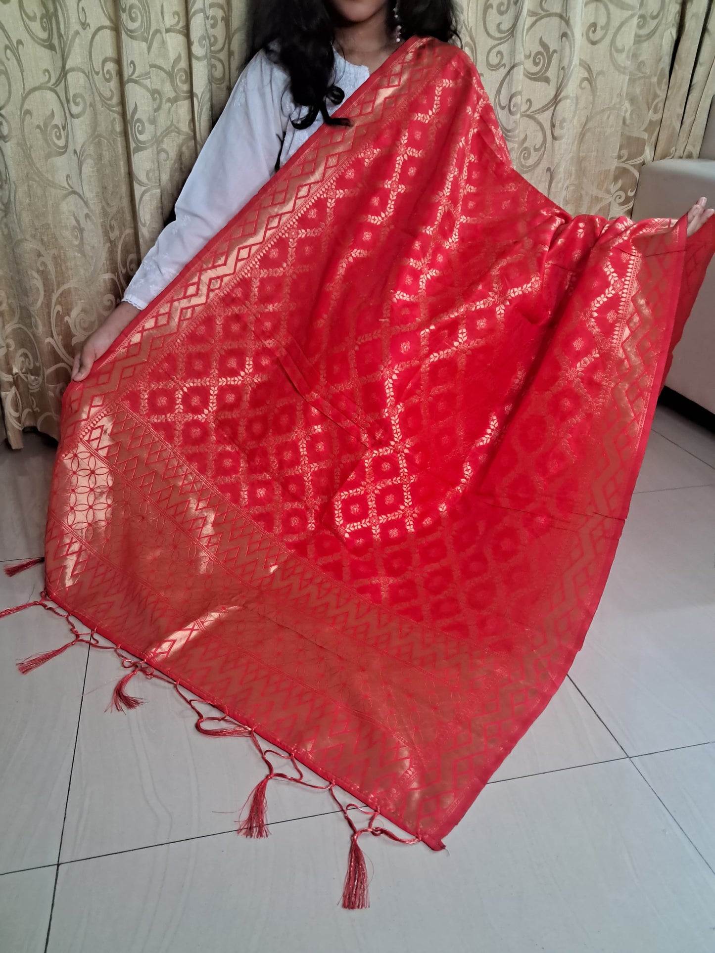 Red Mixed Silk Banarasi Dupatta