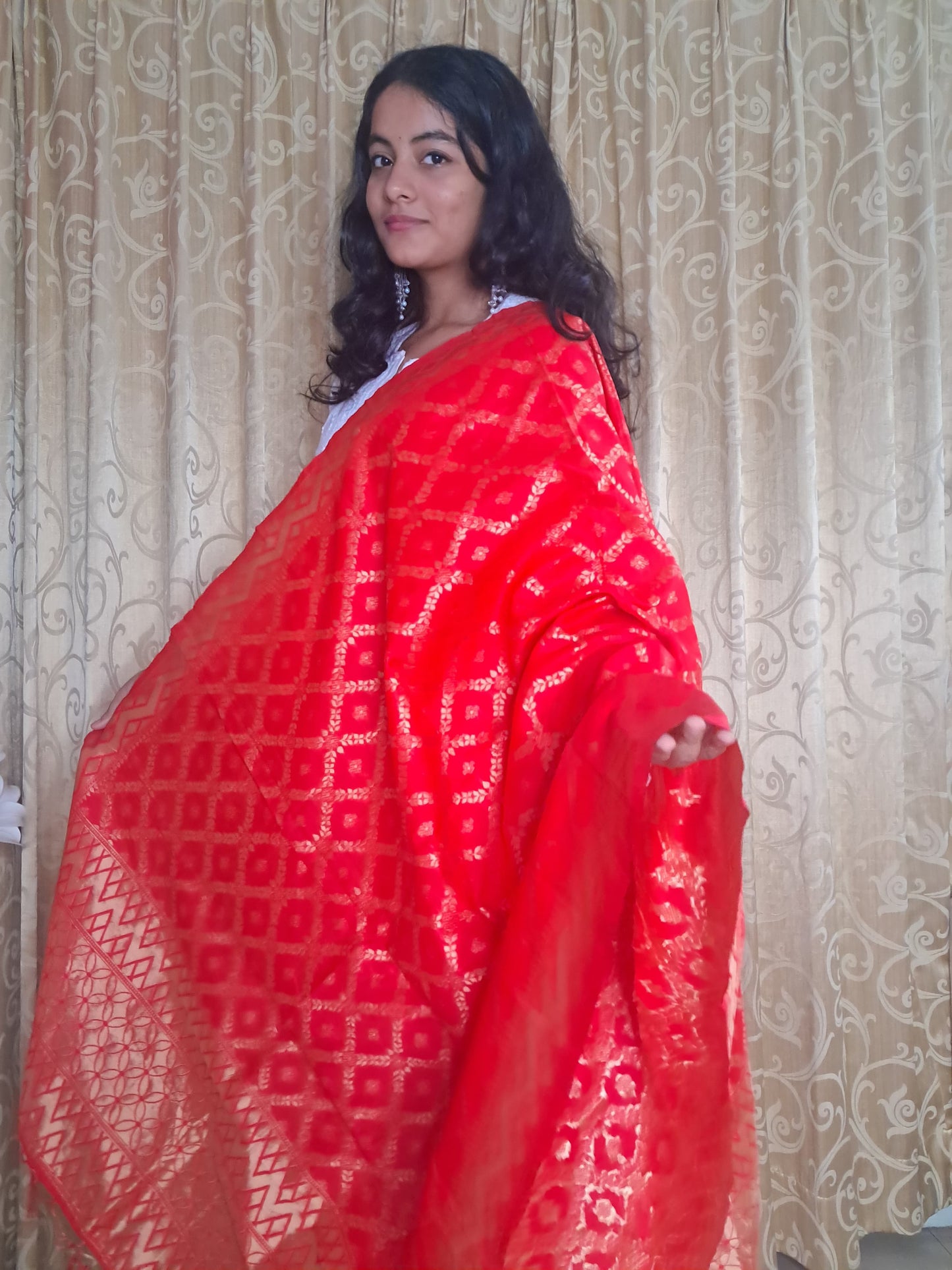 Red Mixed Silk Banarasi Dupatta