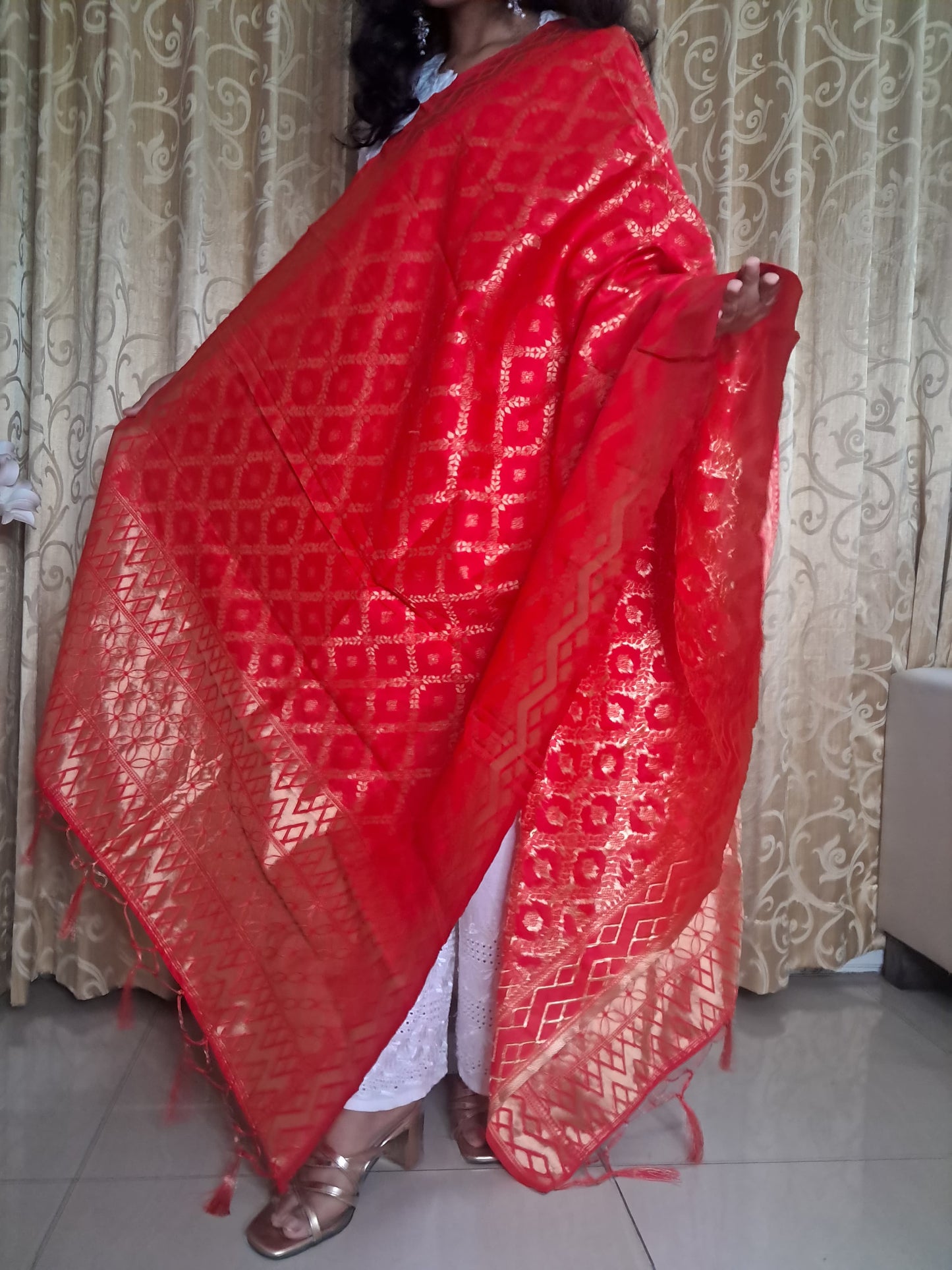 Red Mixed Silk Banarasi Dupatta