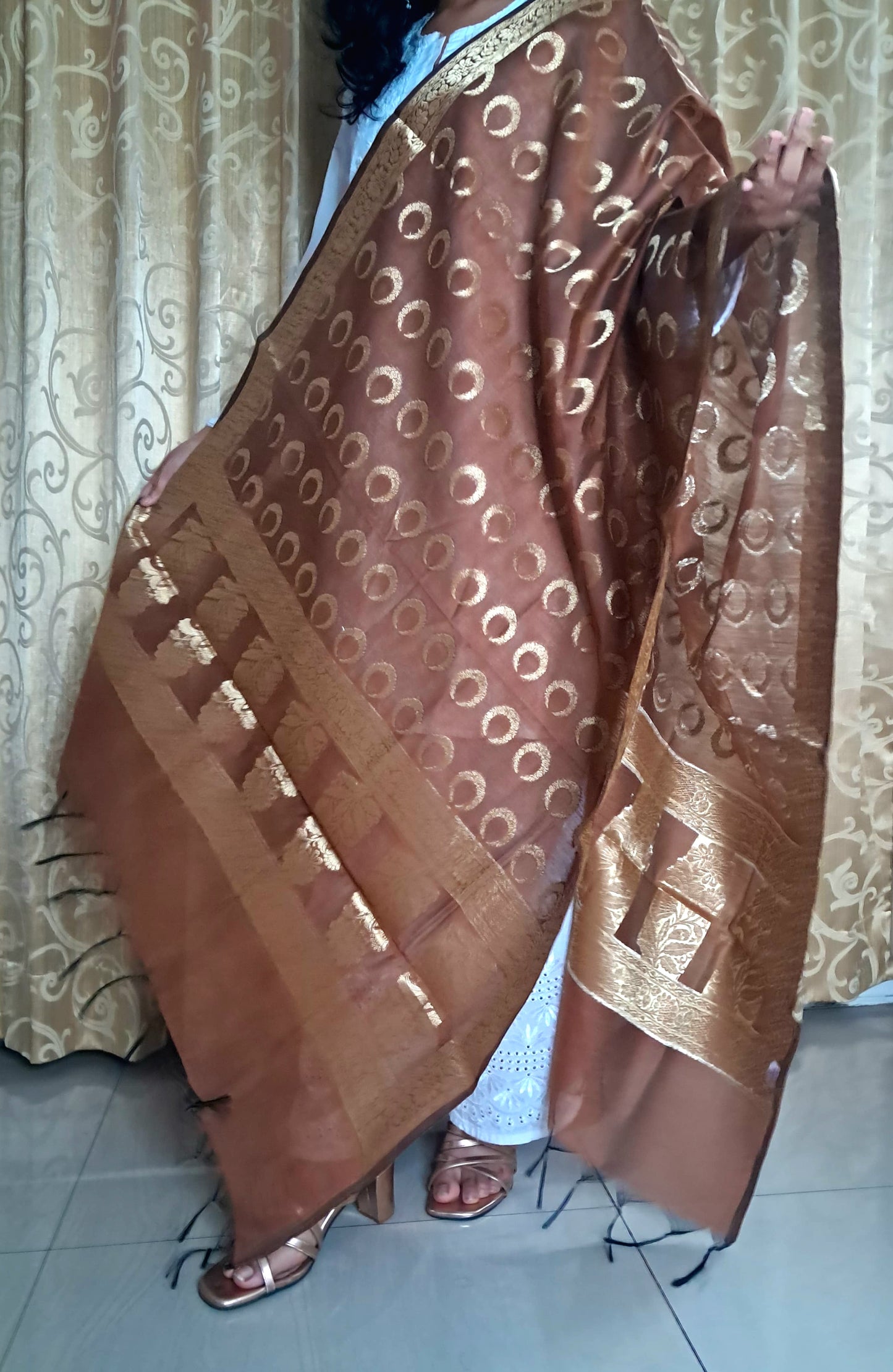 Brown Mixed Katan Banarasi Dupatta