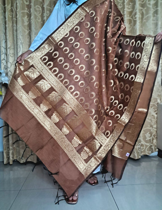Brown Mixed Katan Banarasi Dupatta