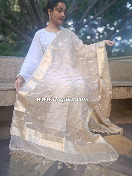Golden Silk Tissue Crush Border Buti & Jaal Banarasi Dupatta