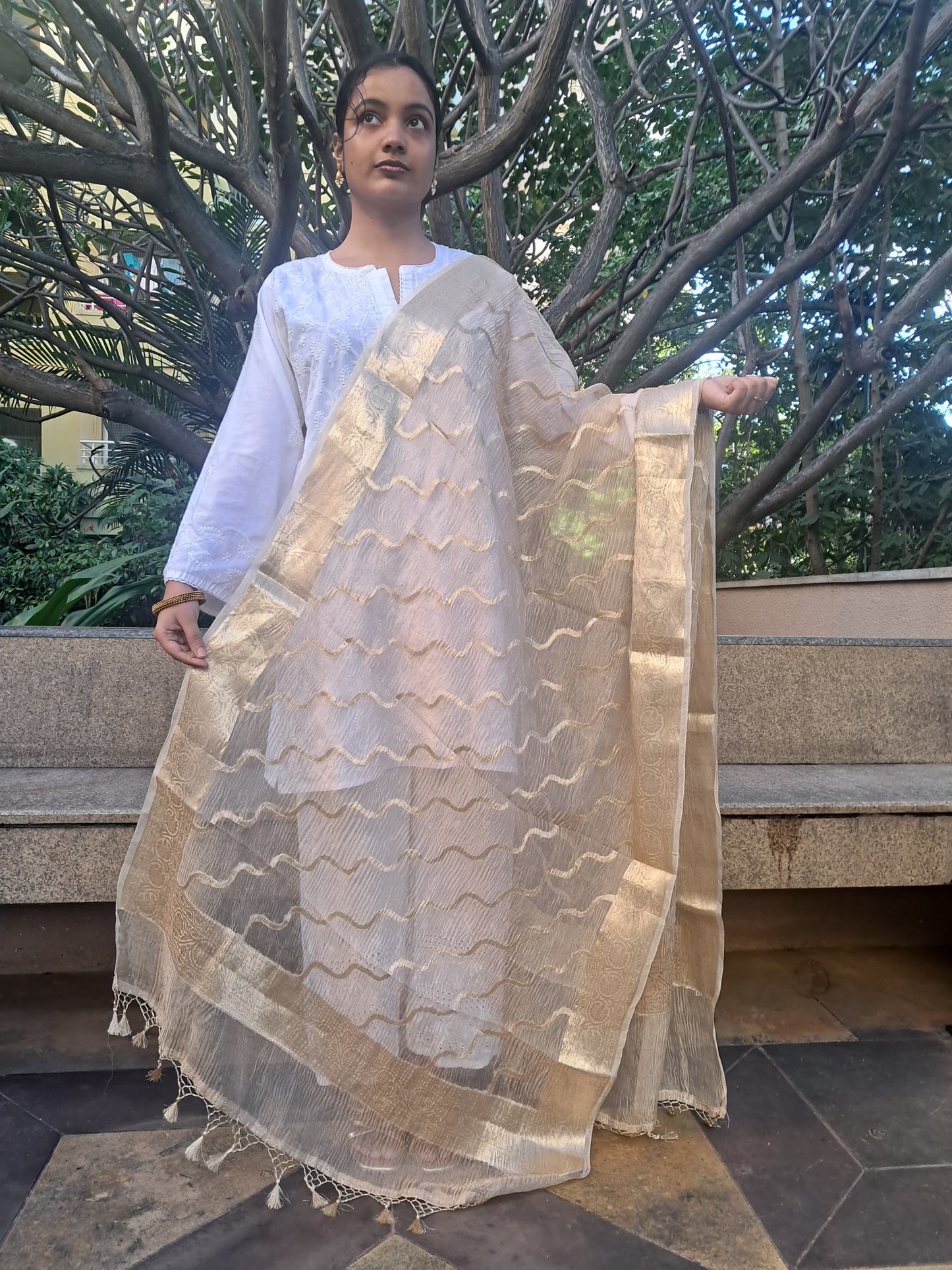 Golden Silk Tissue Crush Border Buti & Jaal Banarasi Dupatta