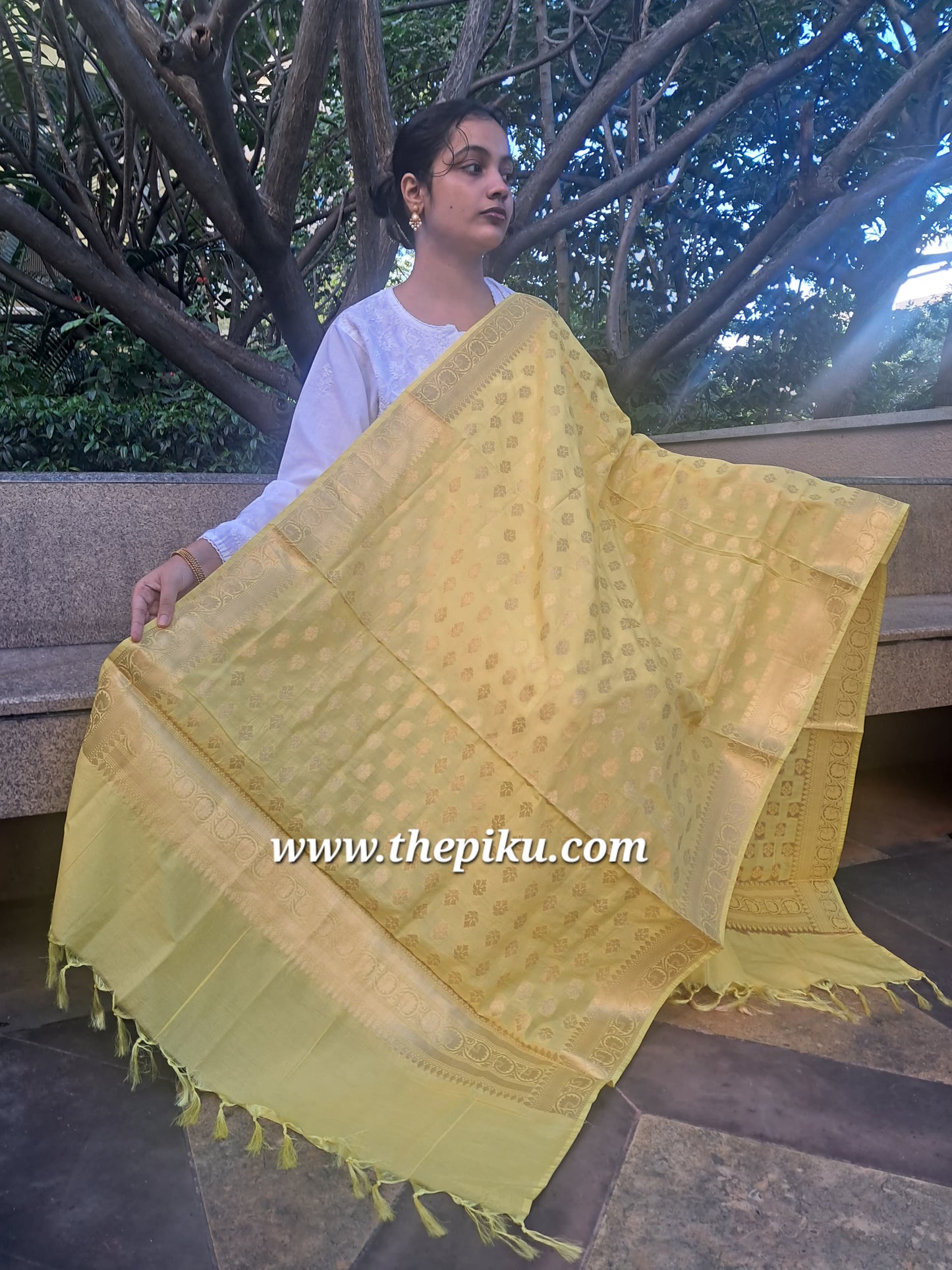 Yellow Mixed Katan Silk Banarasi Dupatta