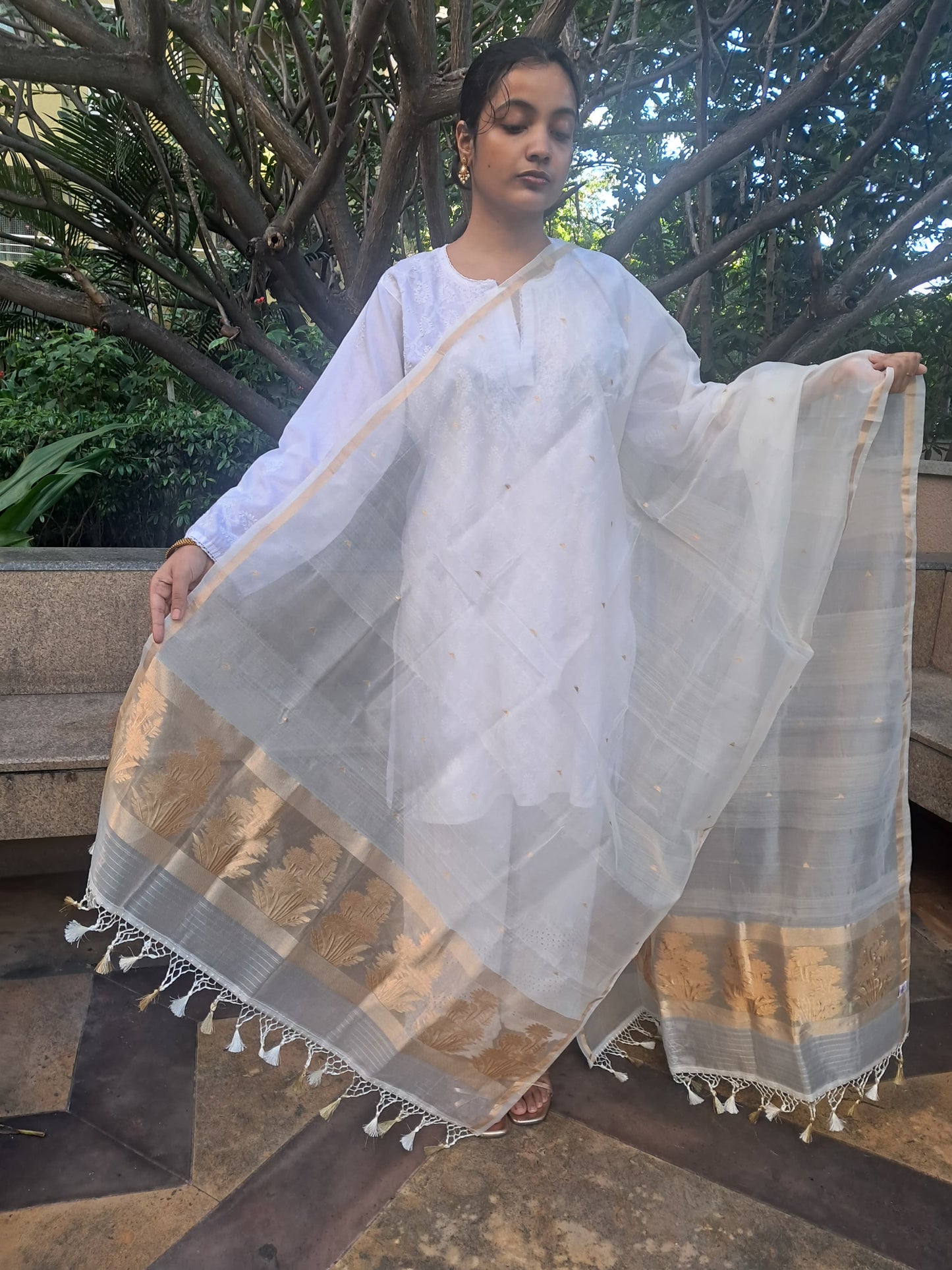 Off White Cottan Organza Patta Tissue Pallu banarasi dupatta