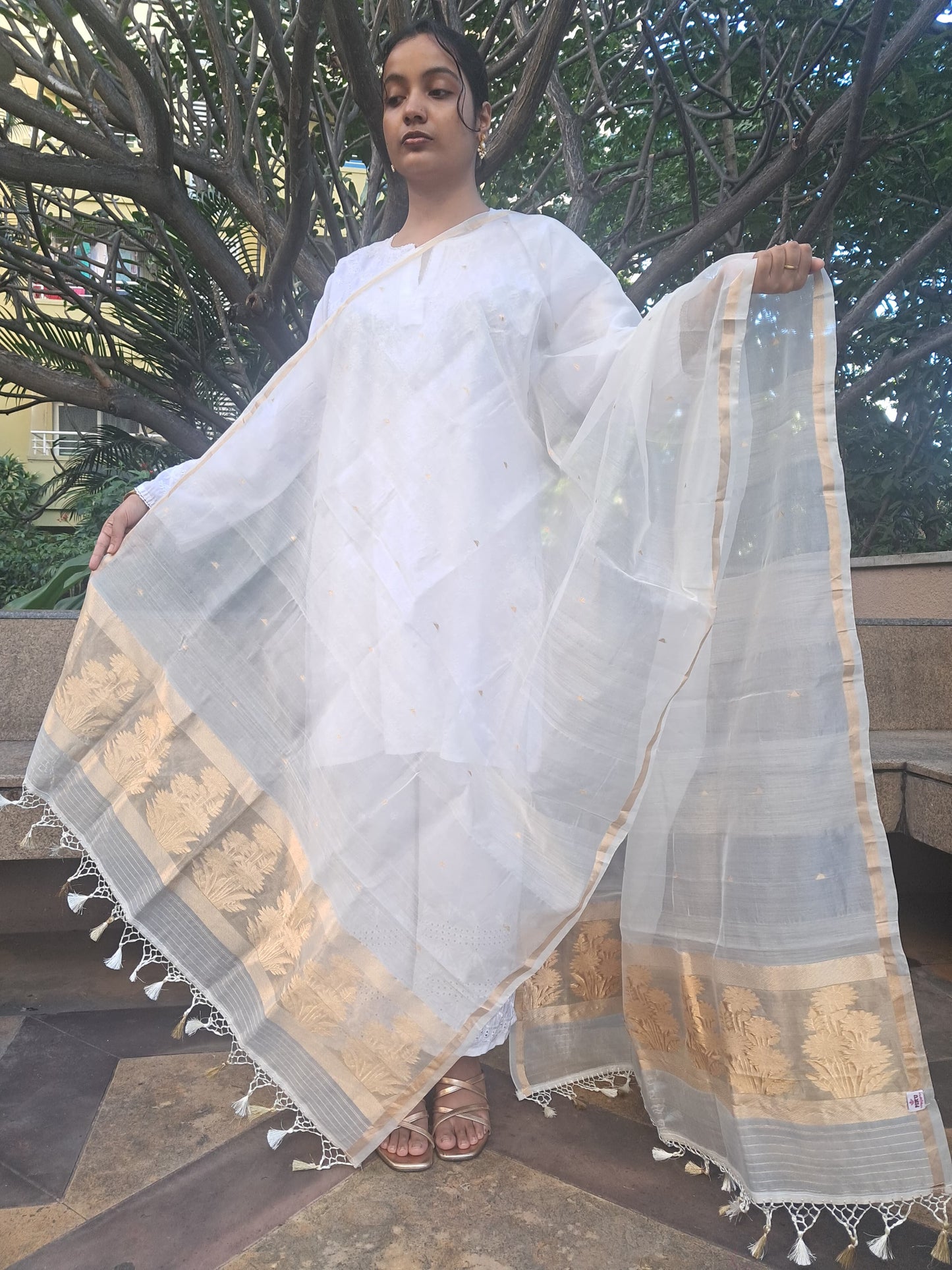 Off White Cottan Organza Patta Tissue Pallu banarasi dupatta
