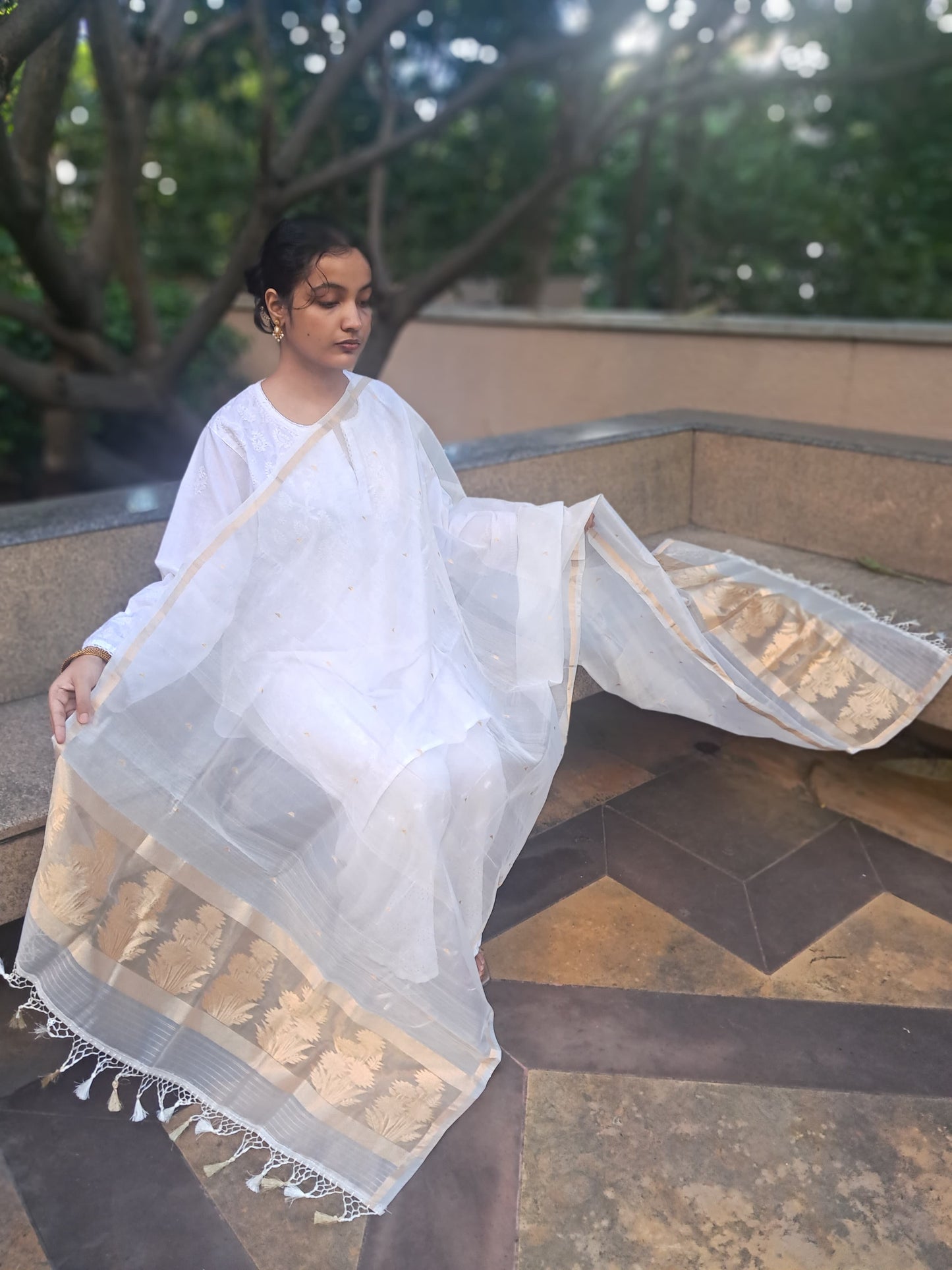 Off White Cottan Organza Patta Tissue Pallu banarasi dupatta