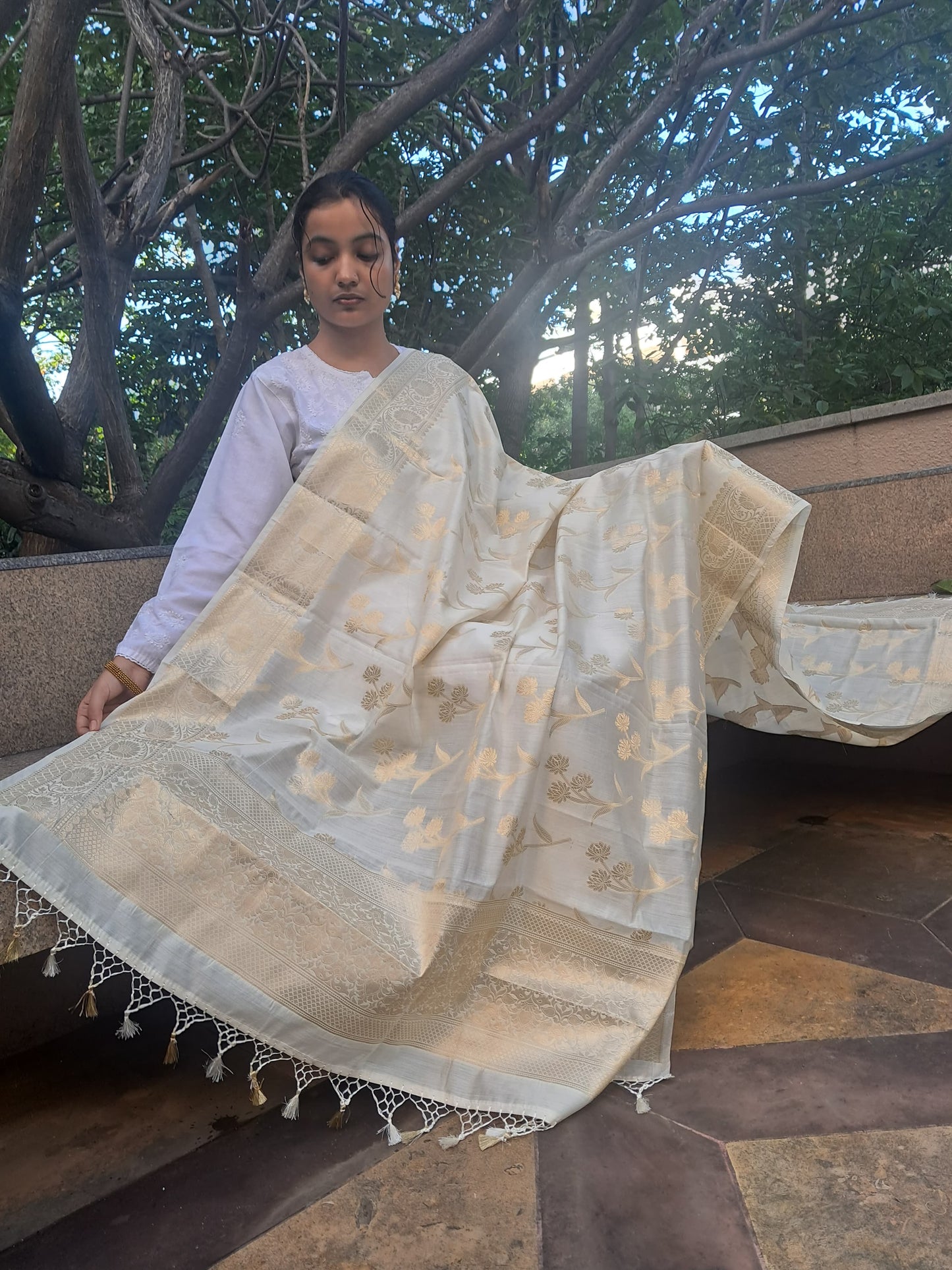 Cream Chiniya Silk Jakal Buti Banarasi Dupatta