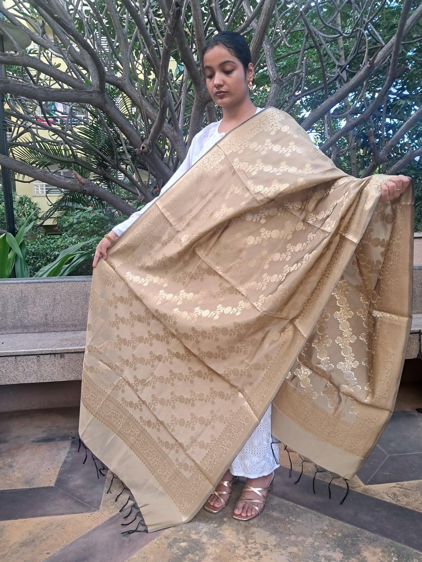 Golden Mixed Katan Silk Banarasi Dupatta