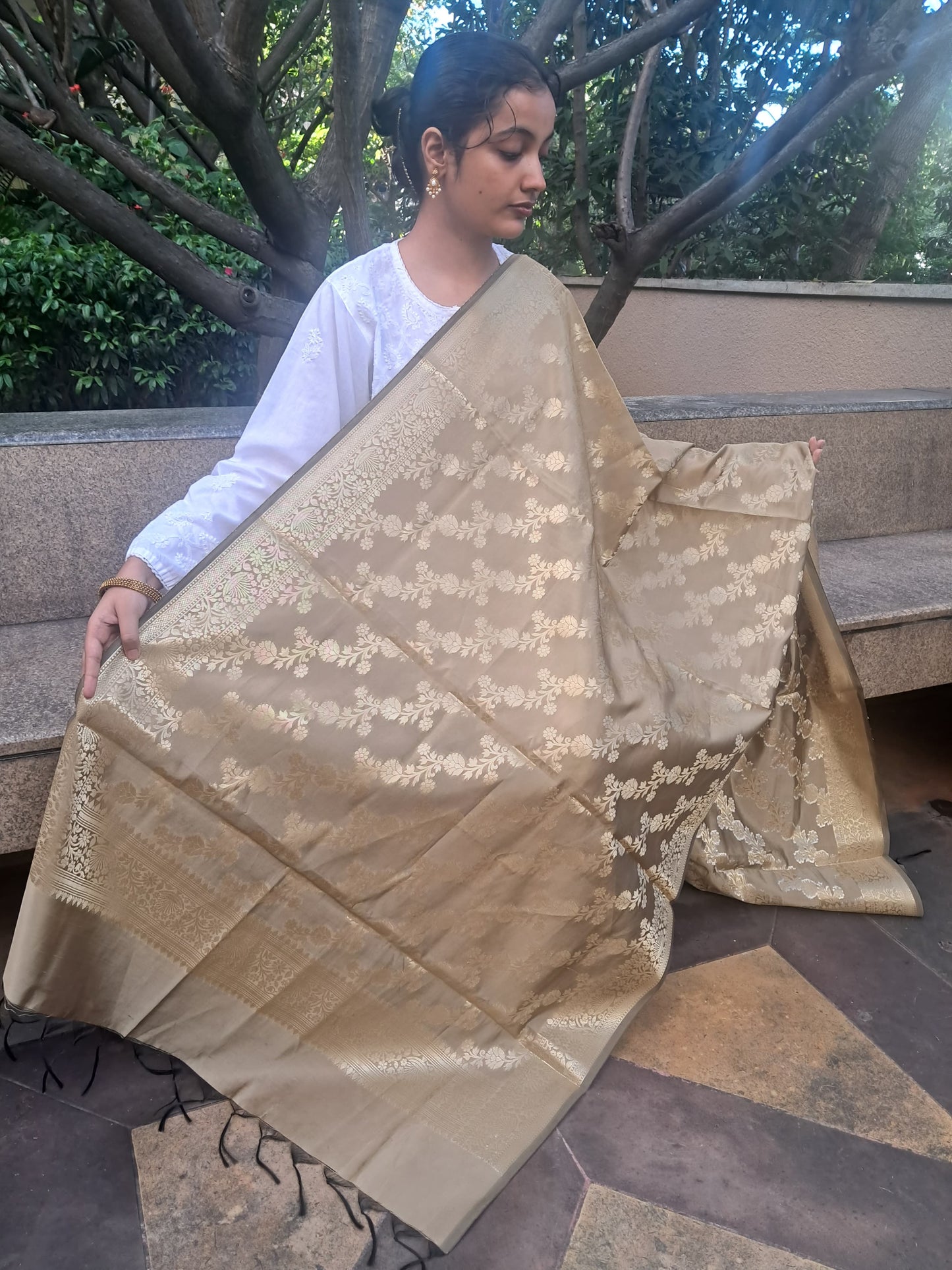 Golden Mixed Katan Silk Banarasi Dupatta