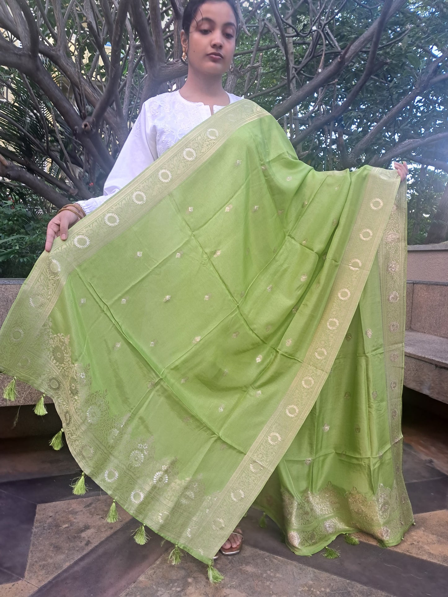 Green Mixed Silk Banarasi Dupatta