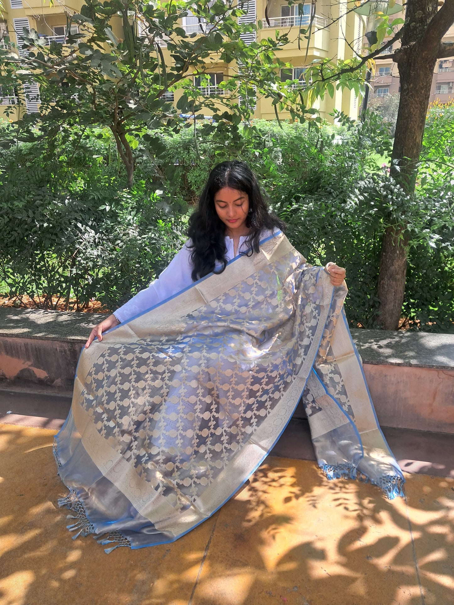 Blue Katan Silk Jacquard  jal Dupatta