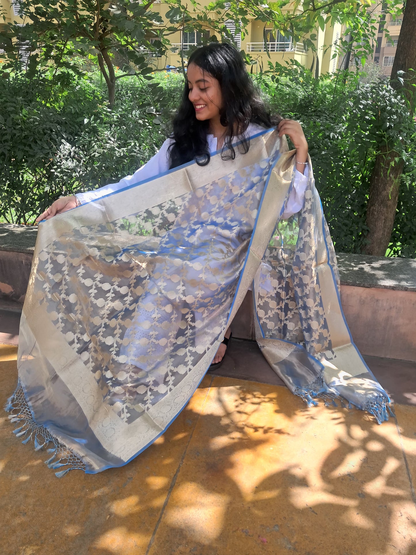 Blue Katan Silk Jacquard  jal Dupatta