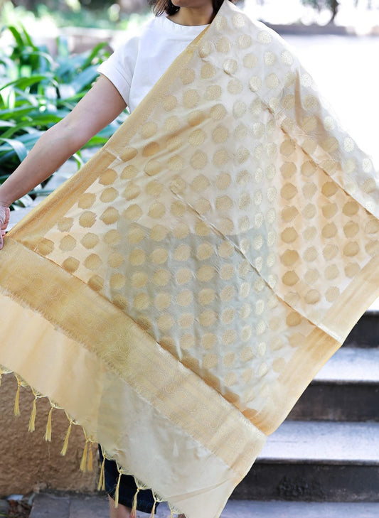 Yellow Mixed Katan Silk Banarasi Dupatta